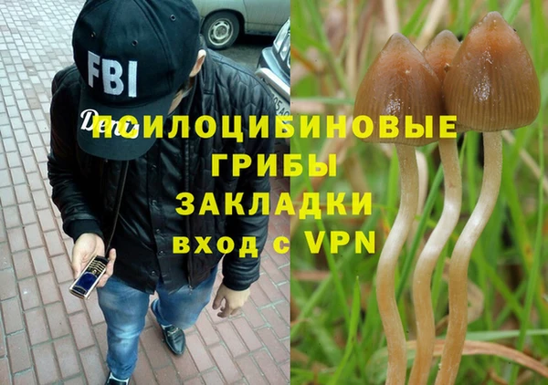 марки lsd Абаза