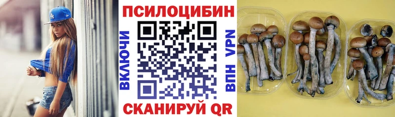 МЕГА сайт  Советский  Псилоцибиновые грибы Magic Shrooms 